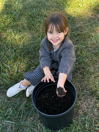 A child exploring soil outdoors