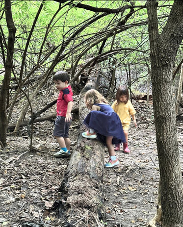 Children exploring a wooded path