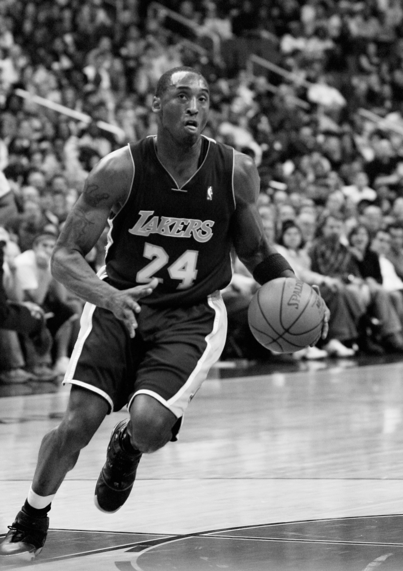Black Mamba